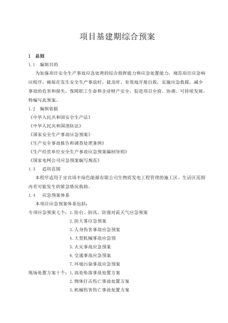 项目基建期综合预案