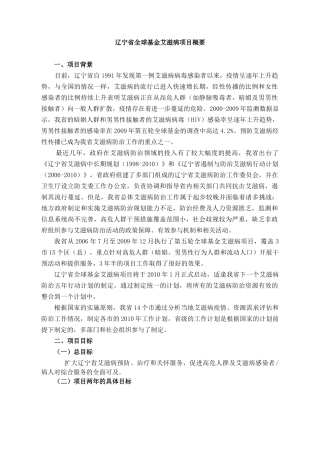 项目介绍doc-在中国预防新一轮的HIV感染