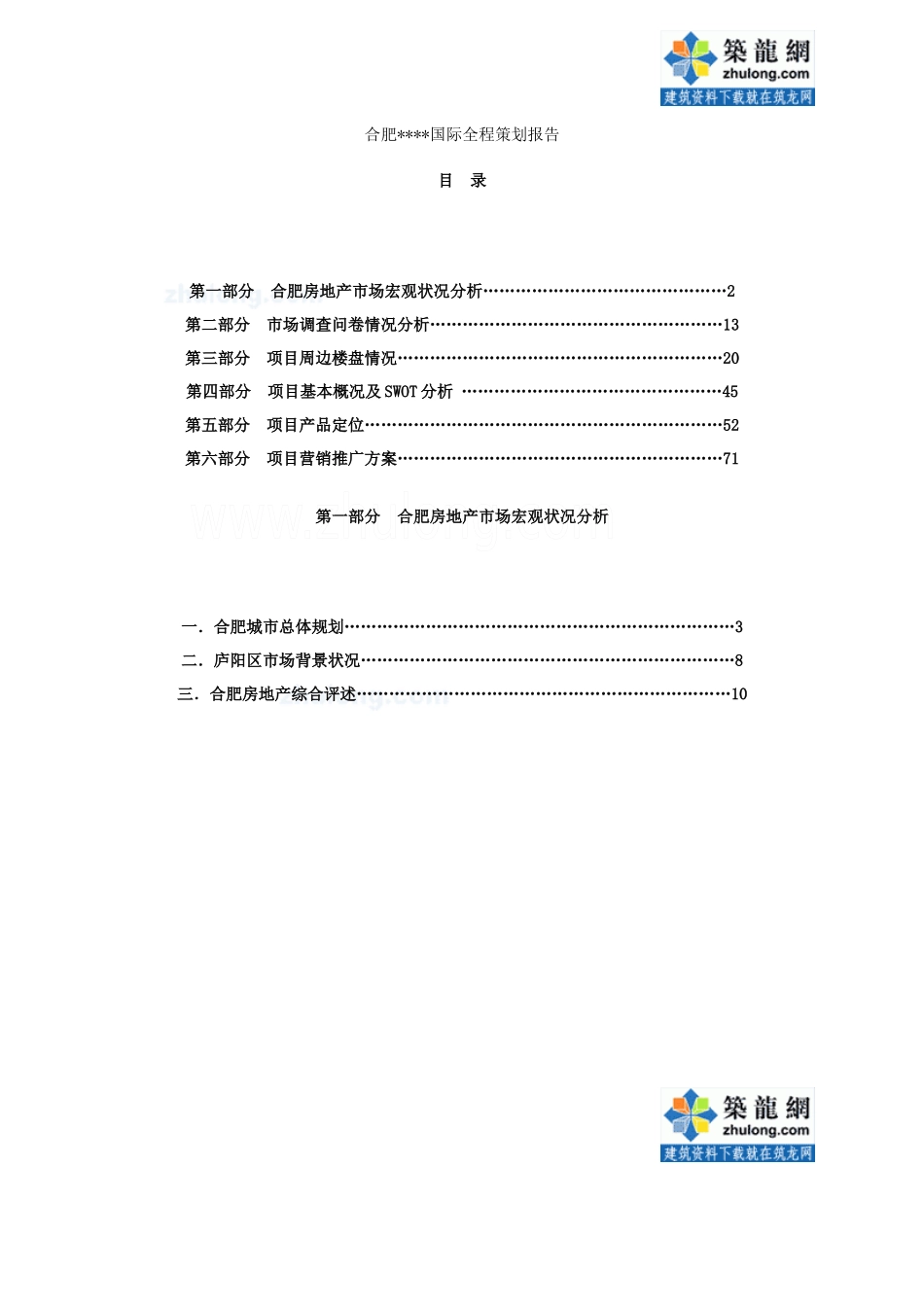 项目全程策划报告_第1页