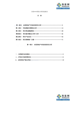 项目全程策划报告