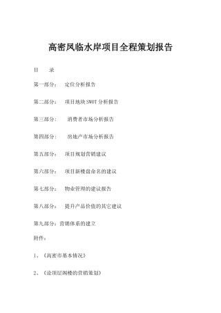 项目全程策划分析报告
