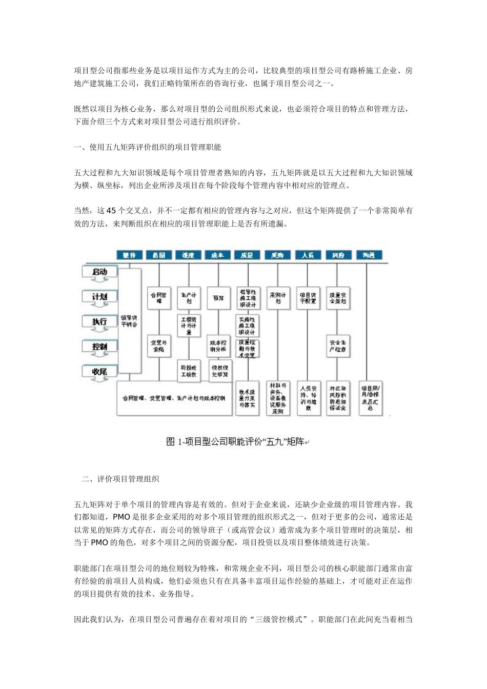 项目型公司组织评价_第1页