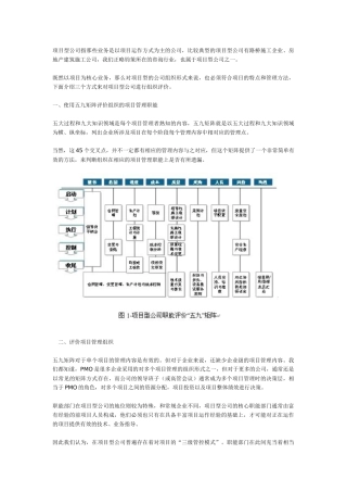 项目型公司组织评价
