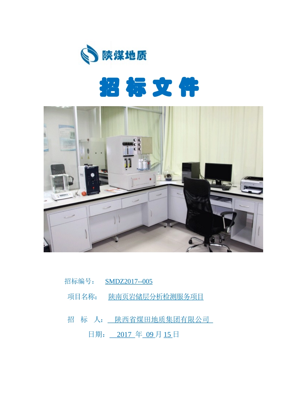 页岩储层分析检测服务项目招标文件_第1页