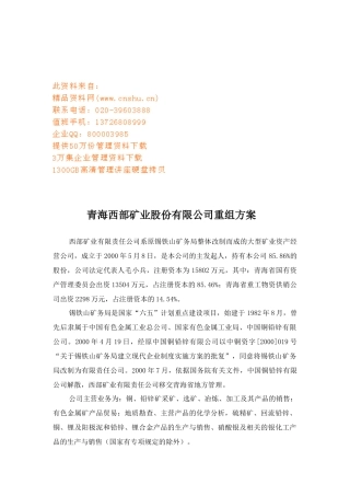 青海某矿业公司重组方案