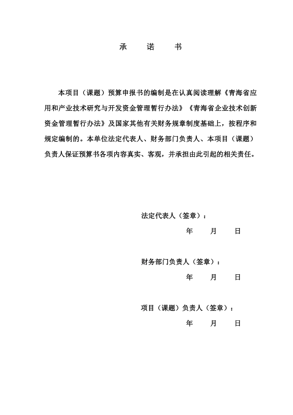 青海省科技项目经费预算书_第2页