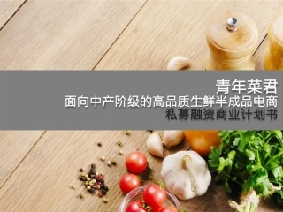 青年菜君面向中产阶级的高品质生鲜半成品电商私募融资商业计划书(创新工厂)