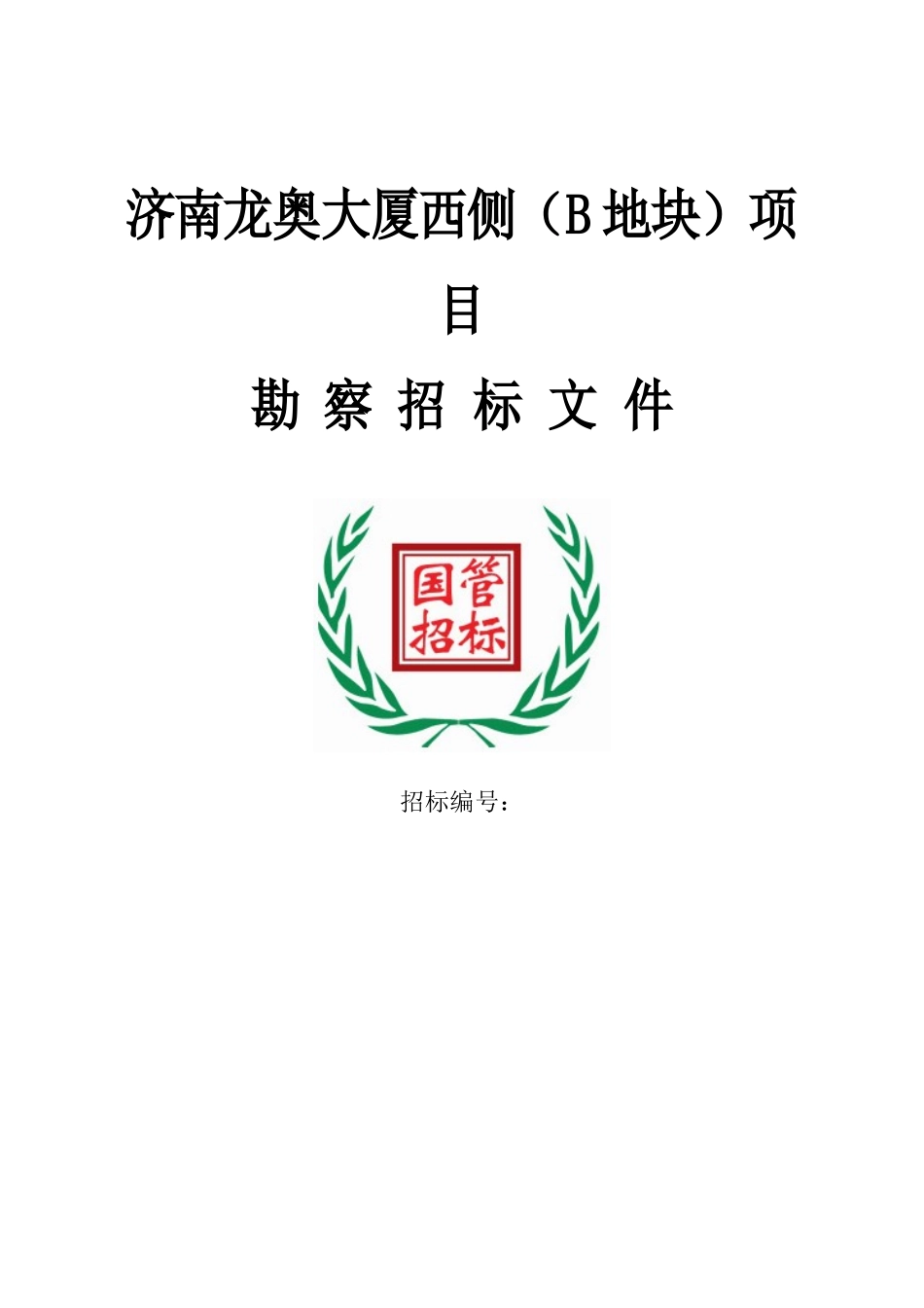 青啤勘查招标文件_第1页