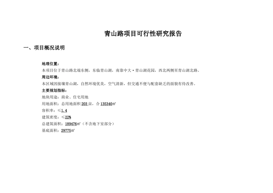 青山路项目可行性研究报告_第1页