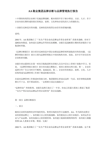 鞋业集团品牌诊断与品牌管理执行报告