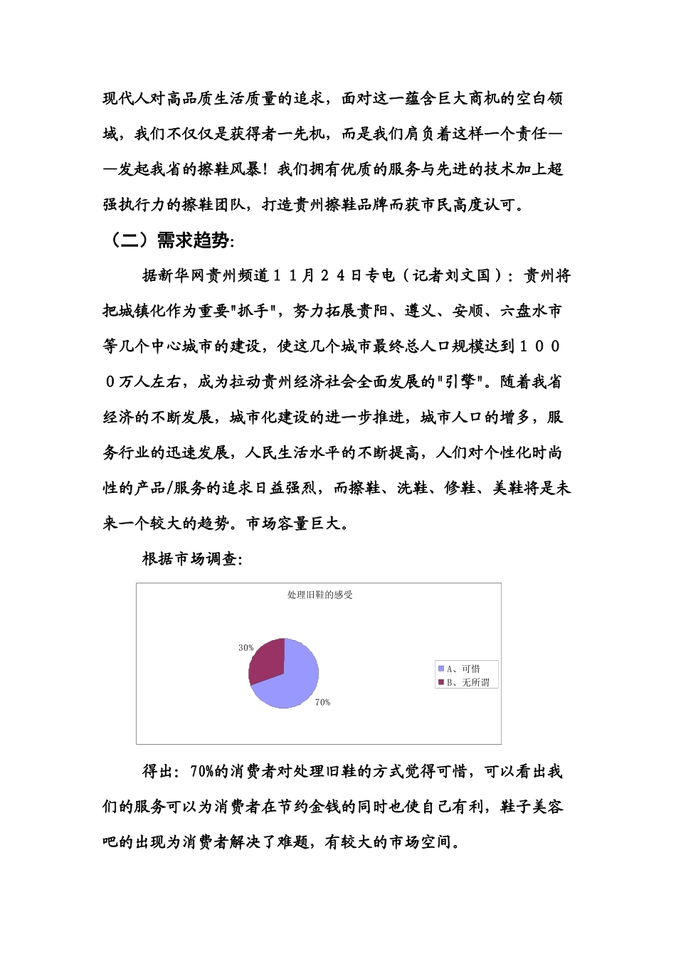 鞋子美容策划书(文本)吴万进_第3页
