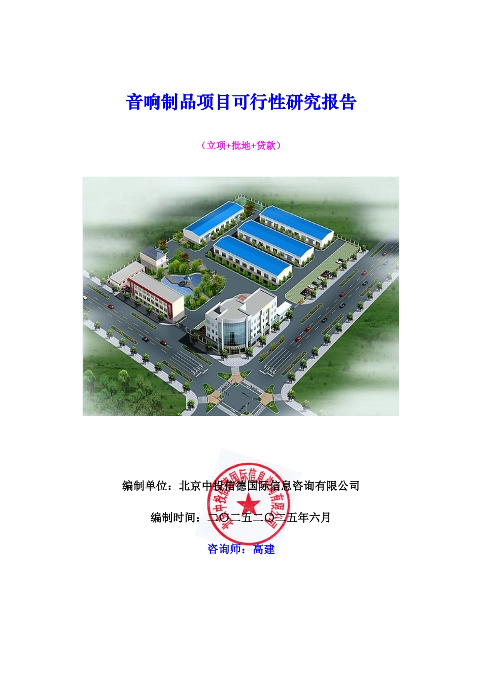 音响制品项目可行性研究报告_第1页