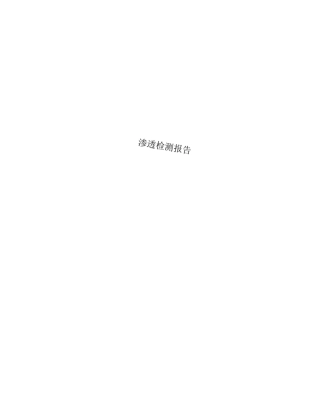 渗透检测报告