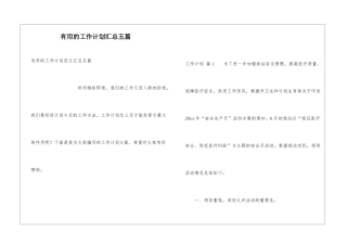 实用的工作计划汇总五篇