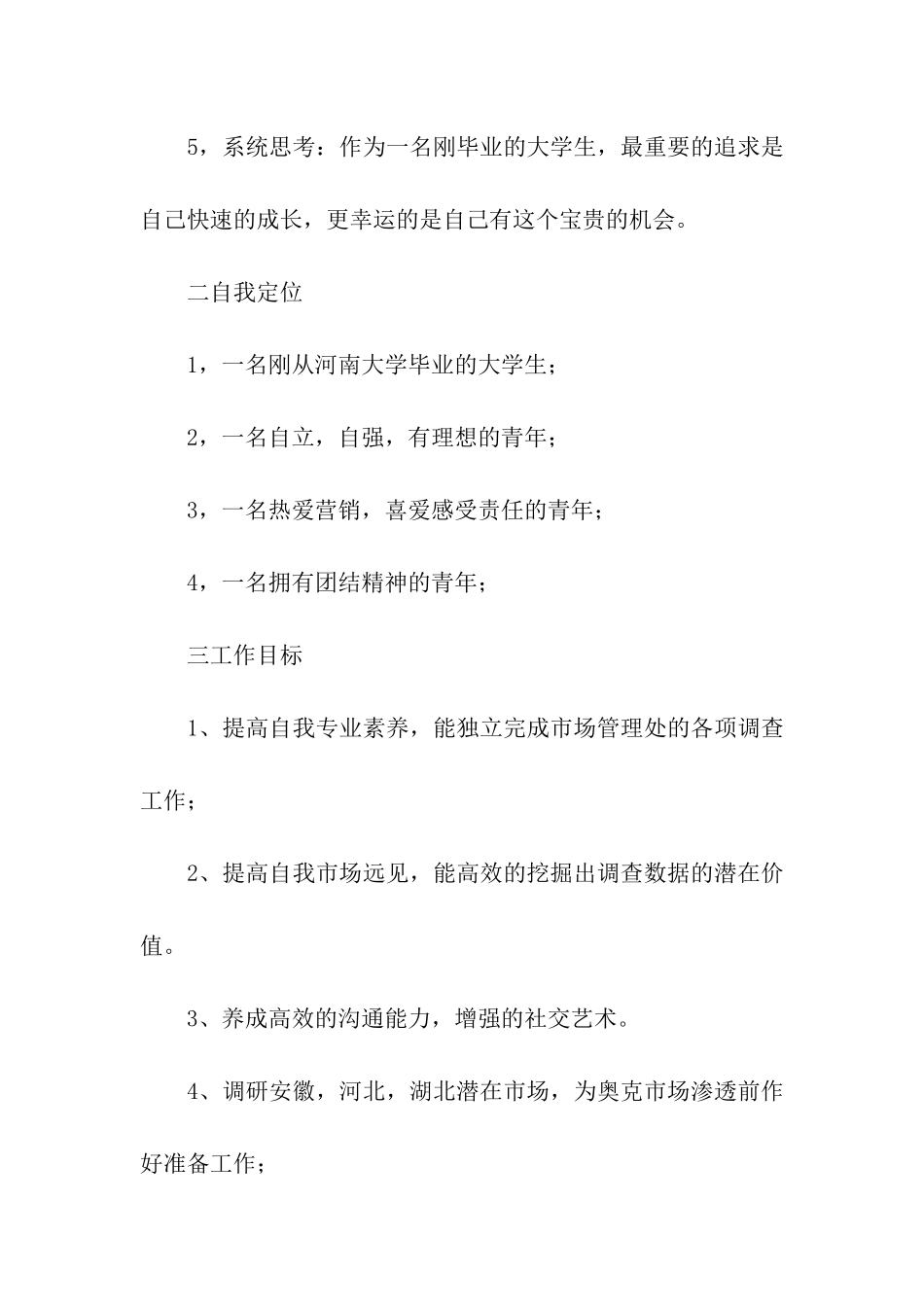 实用的市场营销计划三篇_第2页