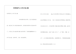实用的护士工作计划4篇