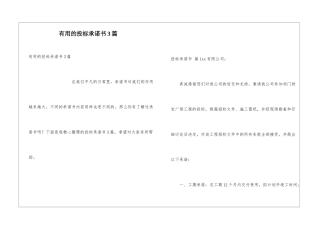 实用的投标承诺书3篇