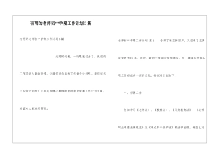 实用的教师初中学期工作计划3篇