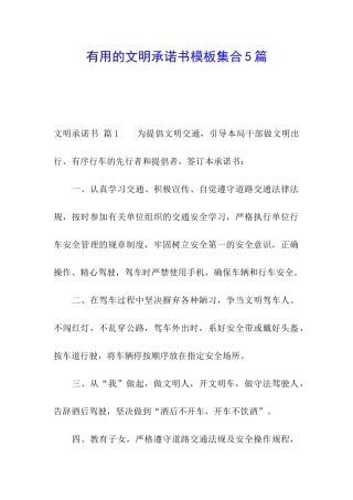 实用的文明承诺书模板集合5篇