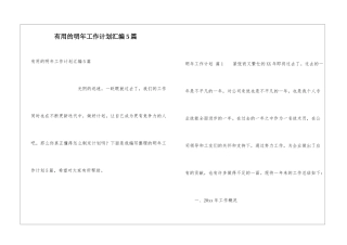 实用的明年工作计划汇编5篇