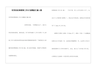 实用的经理销售工作计划模板汇编5篇