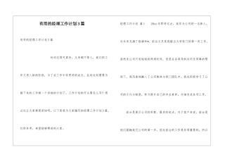 实用的经理工作计划3篇