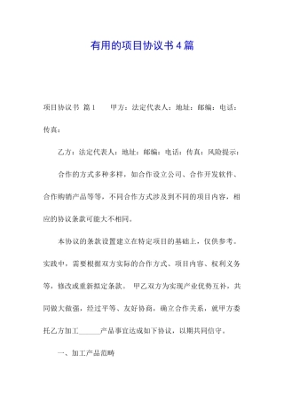 实用的项目协议书4篇