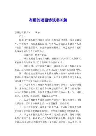 实用的项目协议书4篇