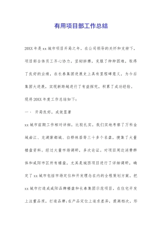 实用项目部工作总结-