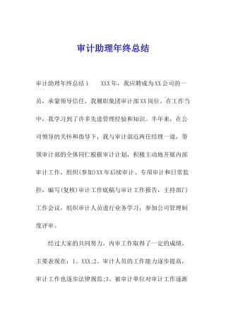 审计助理年终总结