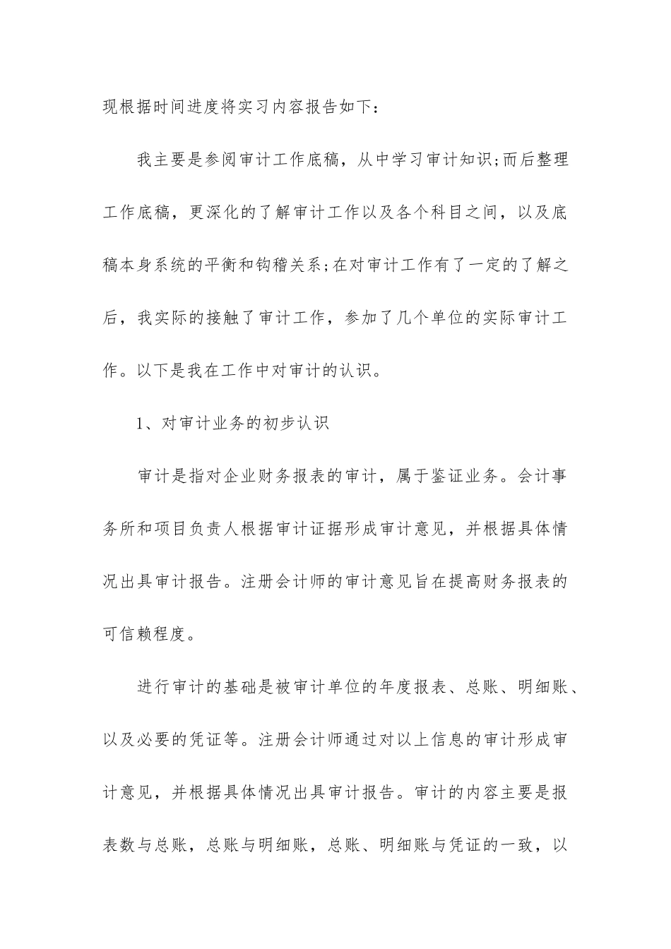 审计个人实习总结3篇_第3页