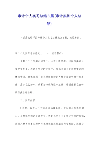 审计个人实习总结3篇