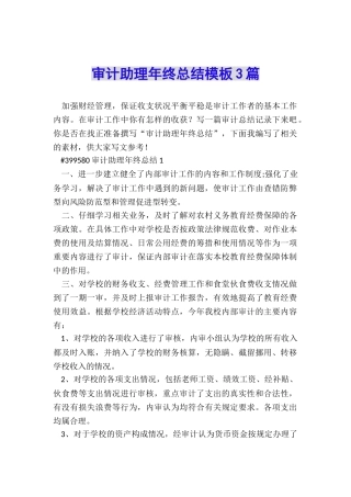 审计助理年终总结模板3篇