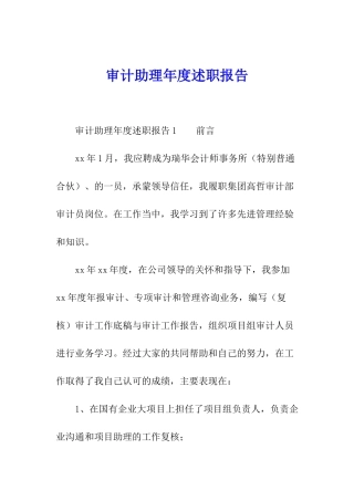 审计助理年度述职报告