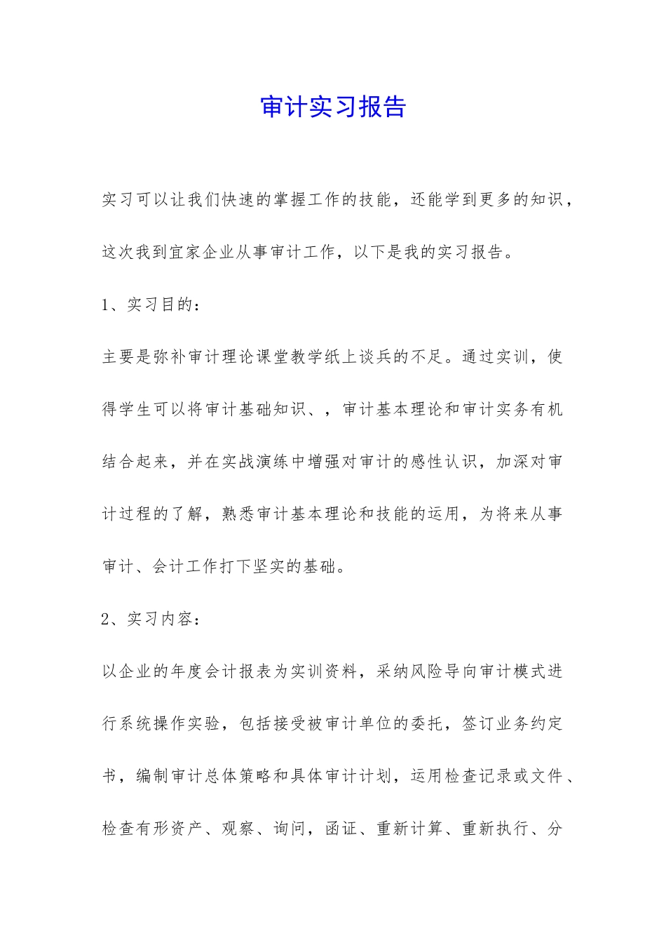 审计实习报告-_第1页