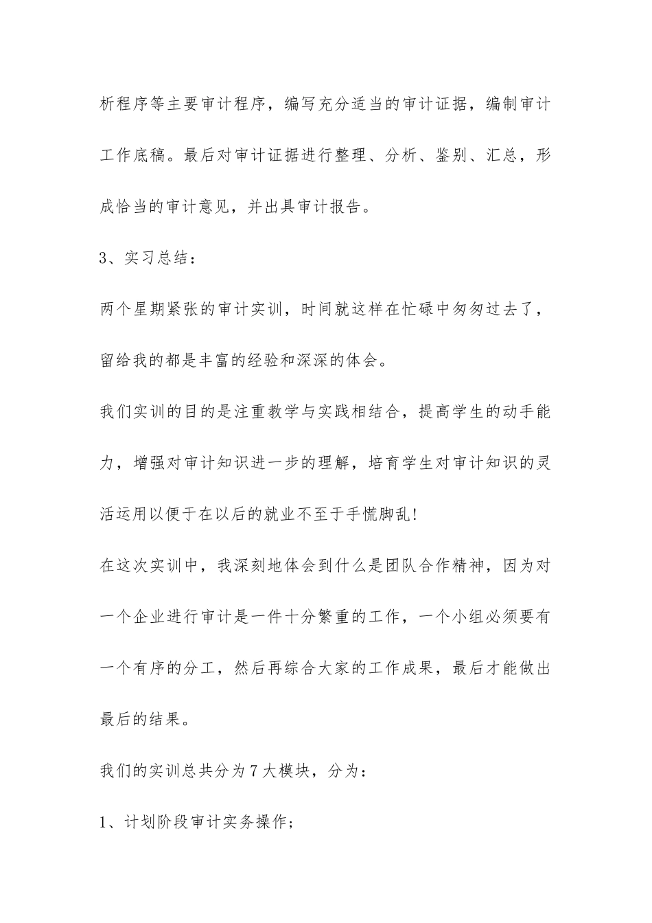 审计实习报告-_第2页