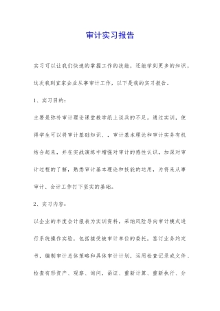 审计实习报告-