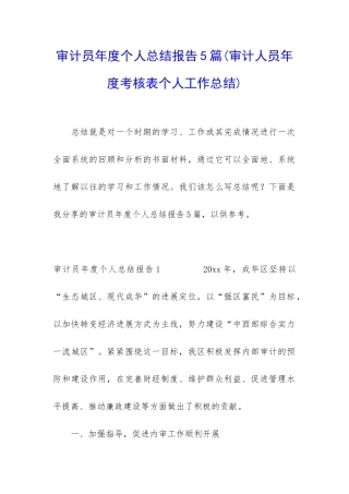 审计员年度个人总结报告5篇