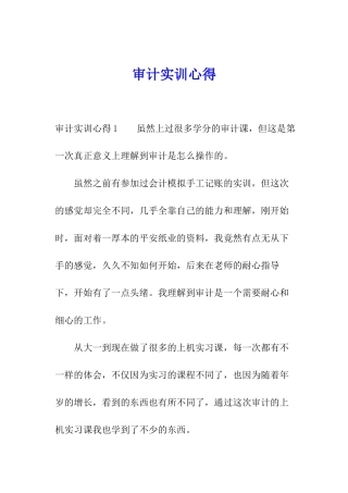 审计实训心得