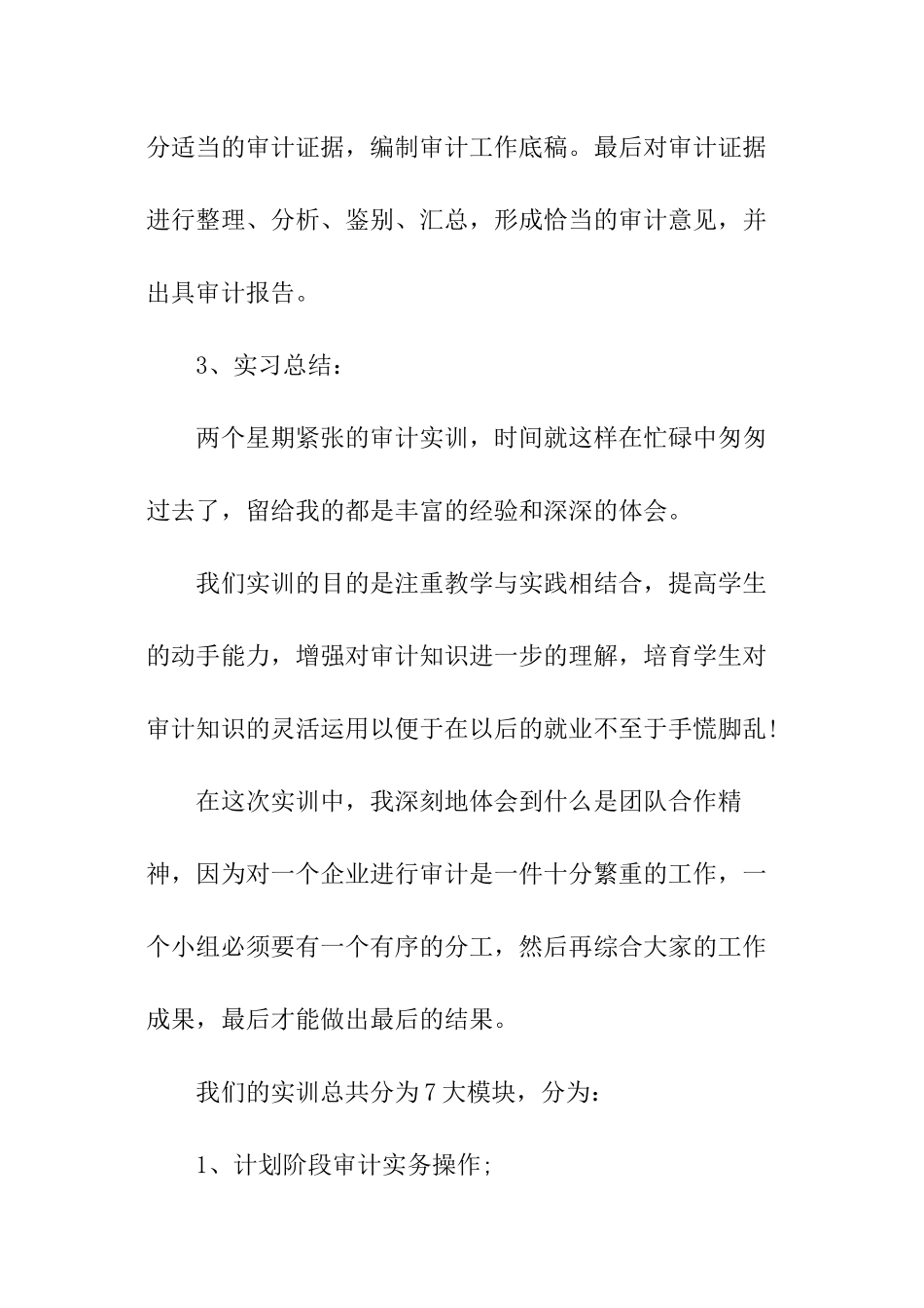 审计实训总结报告优秀_第2页