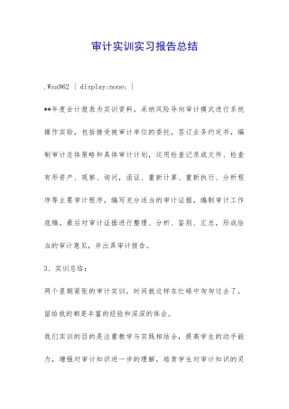 审计实训实习报告总结-