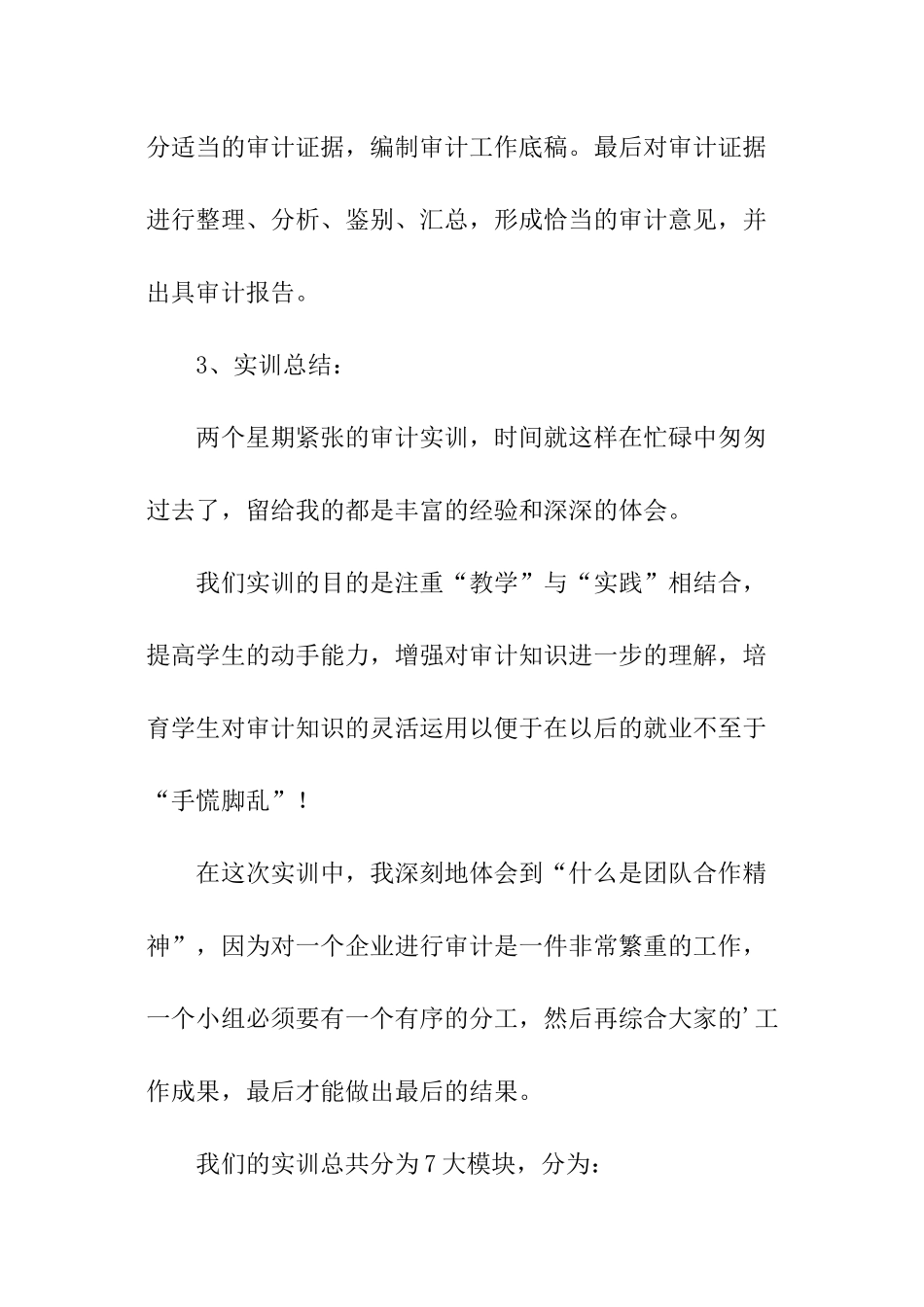 审计实训总结报告_第2页
