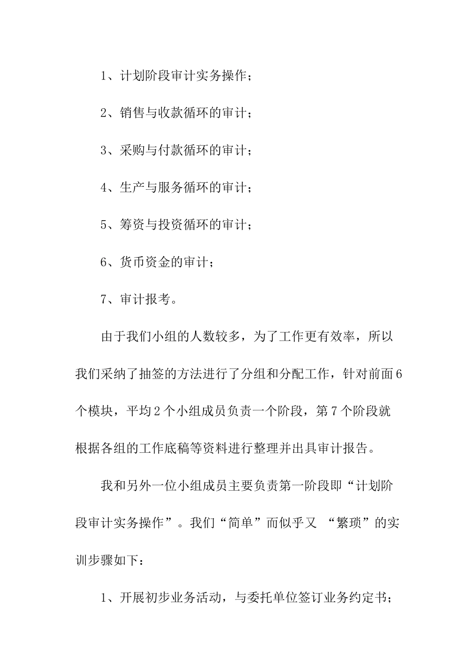 审计实训总结报告_第3页