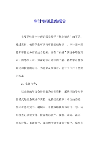 审计实训总结报告