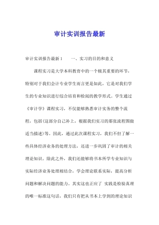 审计实训报告最新