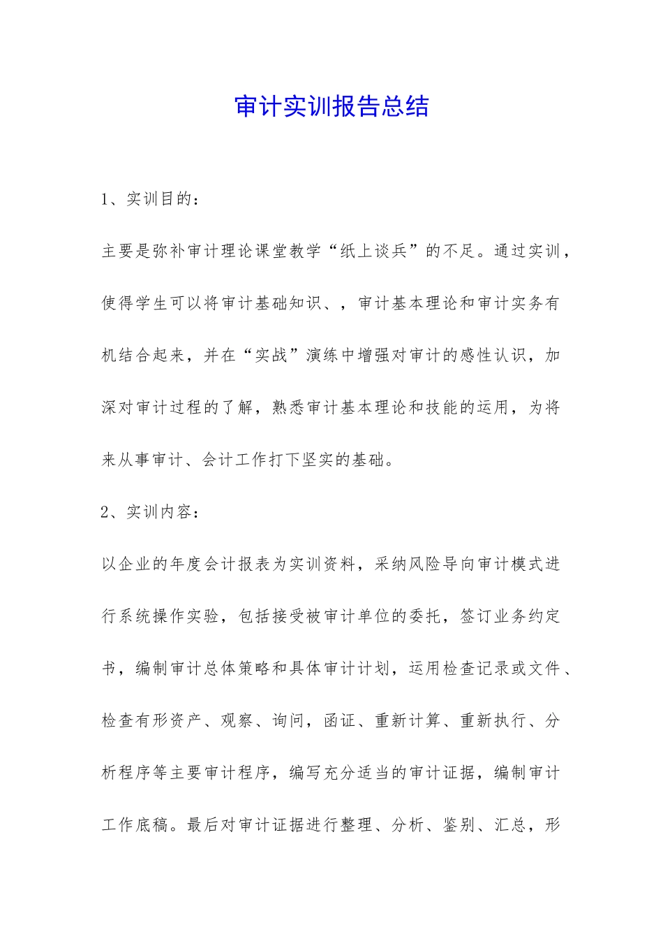 审计实训报告总结-_第1页
