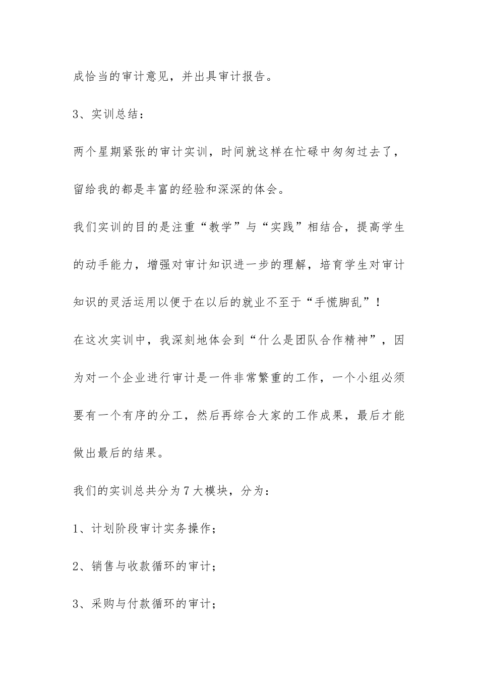审计实训报告总结-_第2页