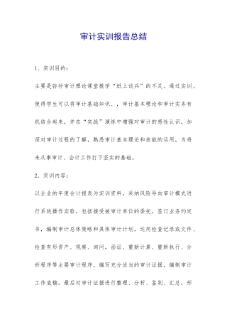 审计实训报告总结-
