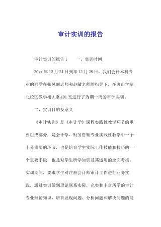 审计实训的报告