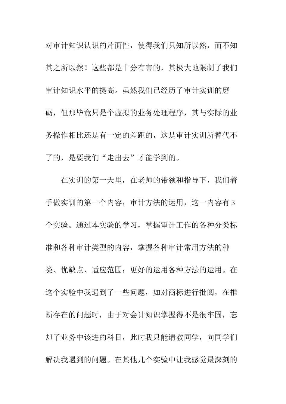 审计实训课程心得体会_第2页